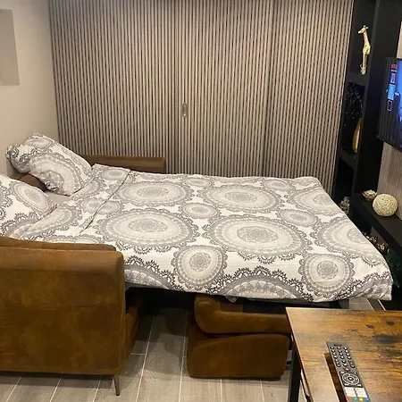 Plain-pied Cosy Zenith A 5min Parking Gratuit 公寓 *
